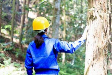 林業における女性の役割：ジェンダー平等と新たな視点