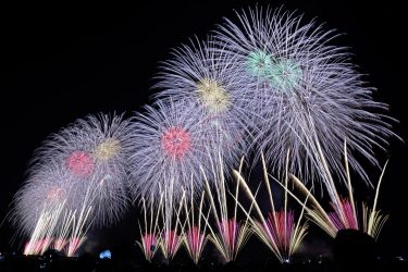 2025年新潟県のスギ花粉はいつまで？ピークは？今年の花粉は多い？今年のスギ山の状況は？今日の花粉症ひどい？リアルタイム情報