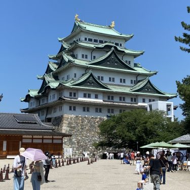 2025年愛知県のスギ花粉はいつまで？ピークは？今年の花粉は多い？今年のスギ山の状況は？今日の花粉症ひどい？リアルタイム情報