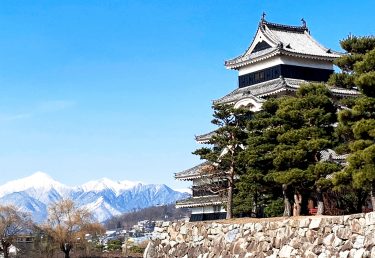 2025年長野県のスギ花粉はいつまで？ピークは？今年の花粉は多い？今年のスギ山の状況は？今日の花粉症ひどい？リアルタイム情報