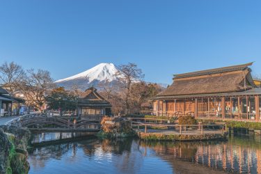 2025年山梨県のスギ花粉はいつまで？ピークは？今年の花粉は多い？今年のスギ山の状況は？今日の花粉症ひどい？リアルタイム情報