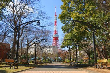 2025年東京都港区のスギ花粉はいつまで？ピークは？今年の花粉は多い？今年のスギ山の状況は？今日の花粉症ひどい？リアルタイム情報