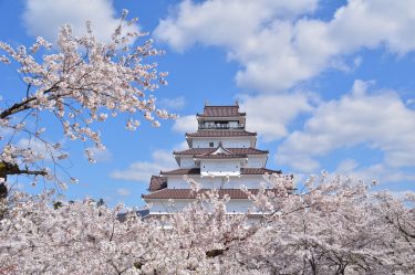 2025年福島県のスギ花粉はいつまで？ピークは？今年の花粉は多い？今年のスギ山の状況は？今日の花粉症ひどい？リアルタイム情報