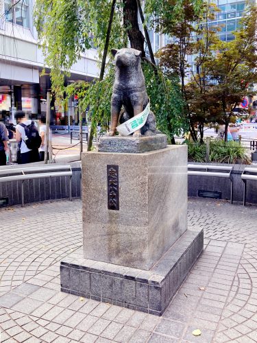 2025年東京都渋谷区のスギ花粉はいつまで？ピークは？今年の花粉は多い？今年のスギ山の状況は？今日の花粉症ひどい？リアルタイム情報