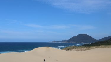 2025年鳥取県のスギ花粉はいつまで？ピークは？今年の花粉は多い？今年のスギ山の状況は？今日の花粉症ひどい？リアルタイム情報