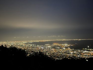 2025年兵庫県のスギ花粉はいつまで？ピークは？今年の花粉は多い？今年のスギ山の状況は？今日の花粉症ひどい？リアルタイム情報