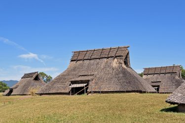 2025年佐賀県のスギ花粉はいつまで？ピークは？今年の花粉は多い？今年のスギ山の状況は？今日の花粉症ひどい？リアルタイム情報