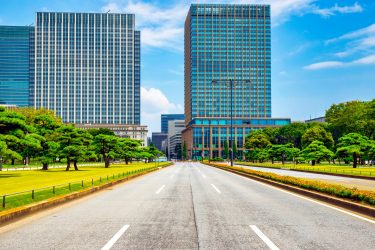 2025年東京都千代田区のスギ花粉はいつまで？ピークは？今年の花粉は多い？今年のスギ山の状況は？今日の花粉症ひどい？リアルタイム情報