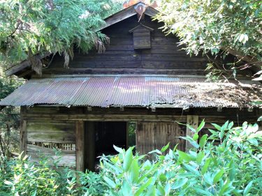 岡山県で庭木伐採・剪定なら｜伐採110番【地域最安・24時間対応】