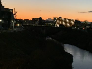 神奈川県横浜市緑区で庭木伐採・剪定なら｜伐採110番【地域最安・24時間対応】