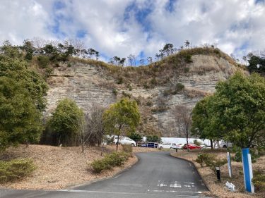 神奈川県横浜市栄区で庭木伐採・剪定なら｜伐採110番【地域最安・24時間対応】