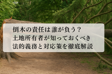 倒木の責任は誰が負う？土地所有者が知っておくべき法的義務と対応策を徹底解説