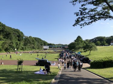 神奈川県横浜市青葉区で庭木伐採・剪定なら｜伐採110番【地域最安・24時間対応】