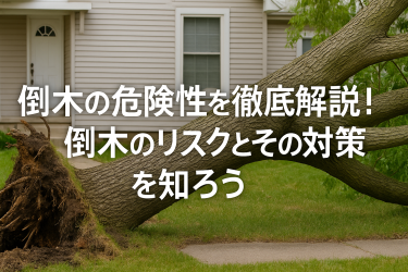 倒木の危険性を徹底解説！倒木のリスクとその対策を知ろう