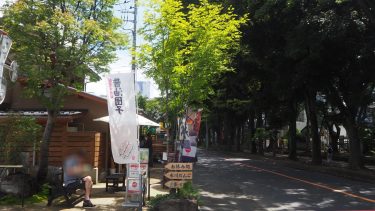 埼玉県さいたま市大宮区で庭木伐採・剪定なら｜伐採110番【地域最安・24時間対応】