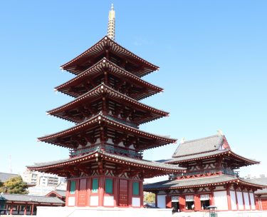 大阪府大阪市天王寺区で庭木伐採・剪定なら｜伐採110番【地域最安・24時間対応】