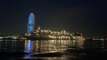 大阪府大阪市港区で庭木伐採・剪定なら｜伐採110番【地域最安・24時間対応】