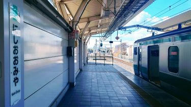 埼玉県さいたま市西区で庭木伐採・剪定なら｜伐採110番【地域最安・24時間対応】